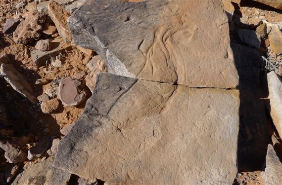 Mariana Castillo Deball: Replaying Life’s Tape - Monash University Museum of Art (MUMA)