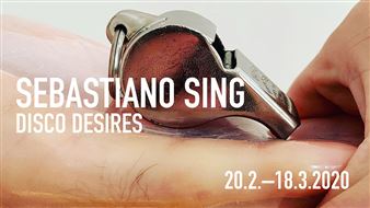 Sebastiano Sing: Disco Desires - Wien Museum MUSA & Startgalerie
