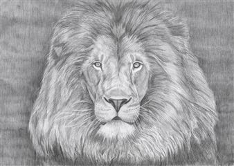 Lion - Carmen Belean