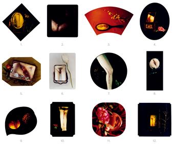 Twelve Flower Months - Chen Lingyang