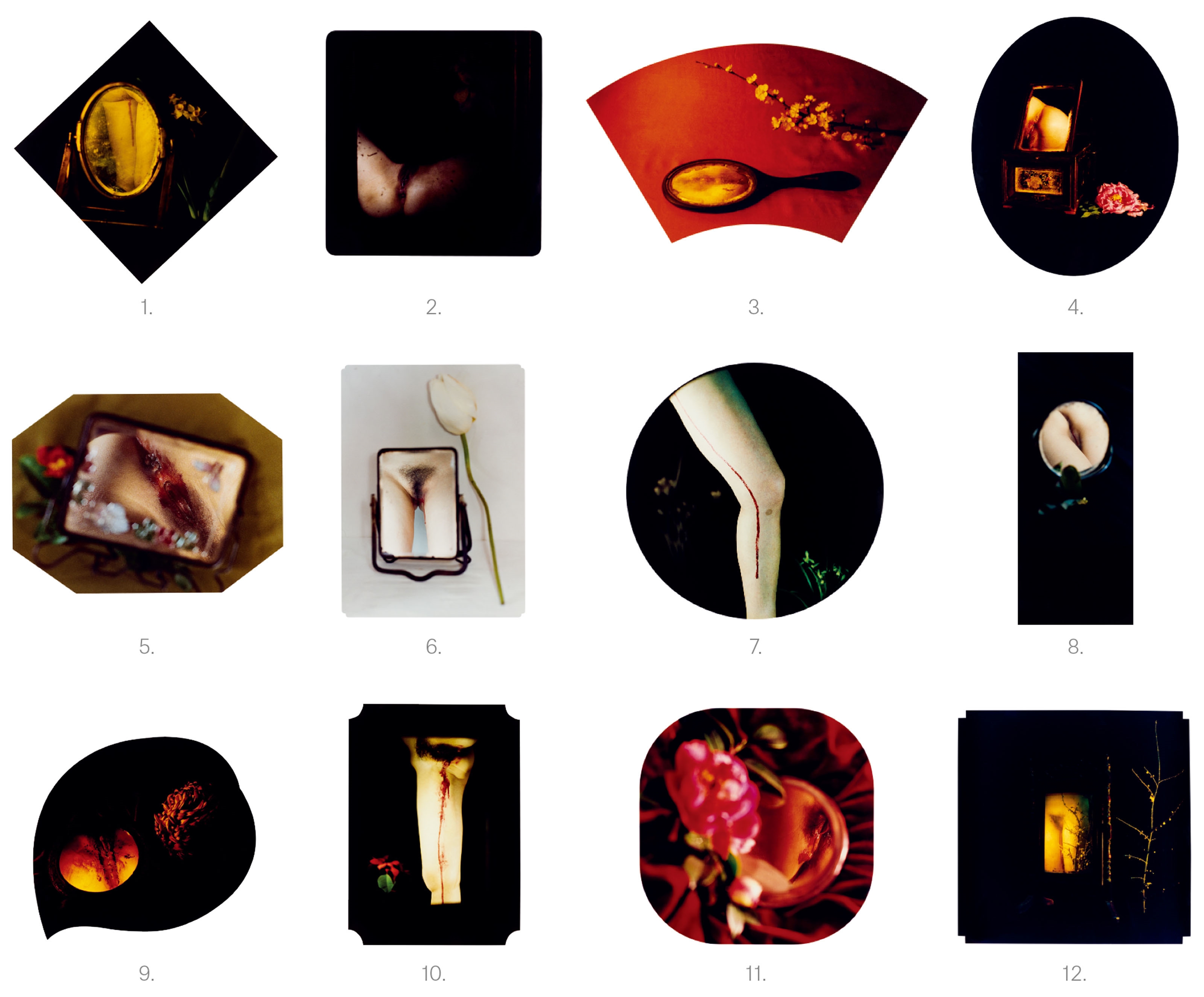 Artwork by Chen Lingyang, Twelve Flower Months, Made of color photographs