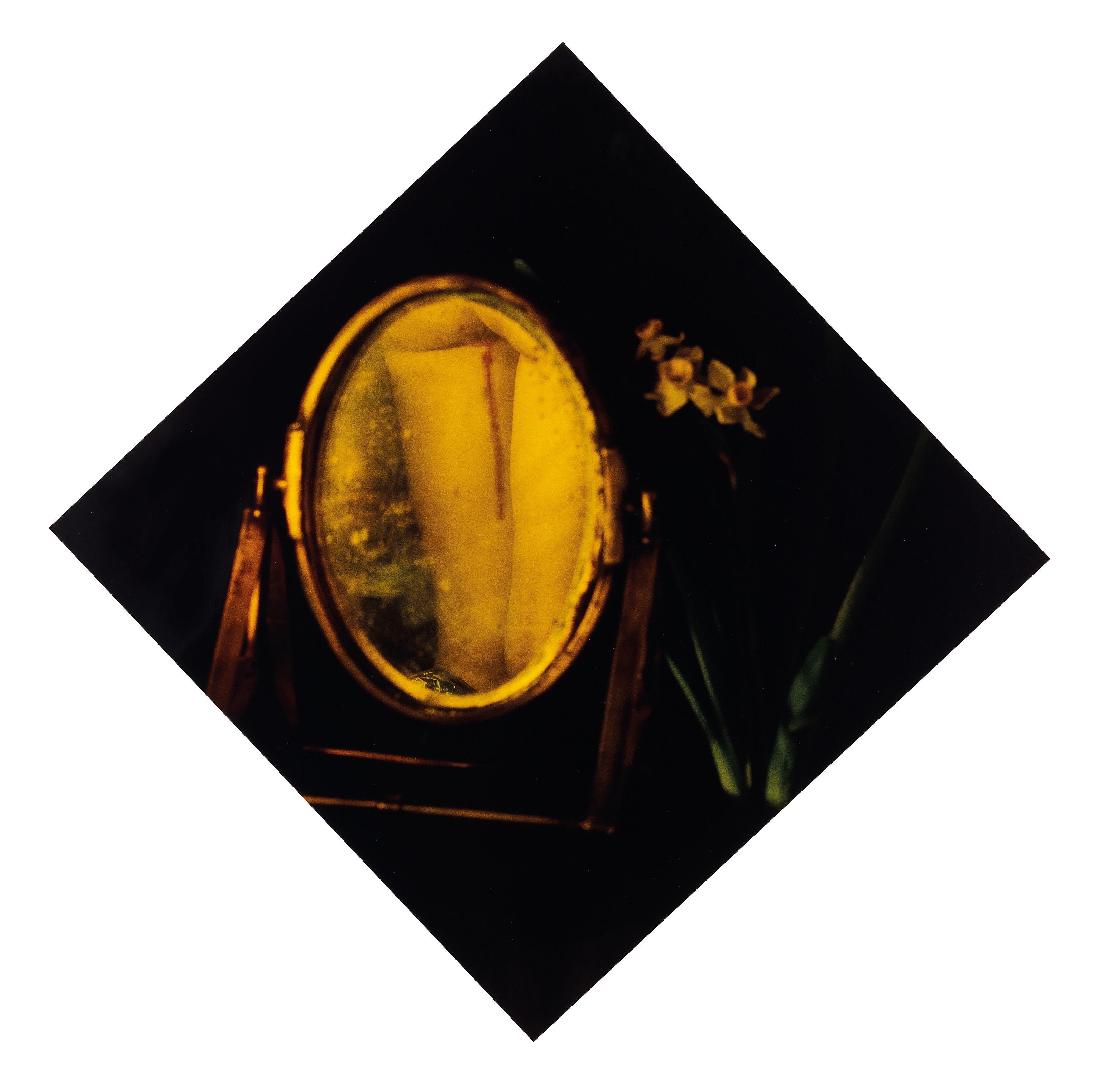 Artwork by Chen Lingyang, Twelve Flower Months, Made of color photographs