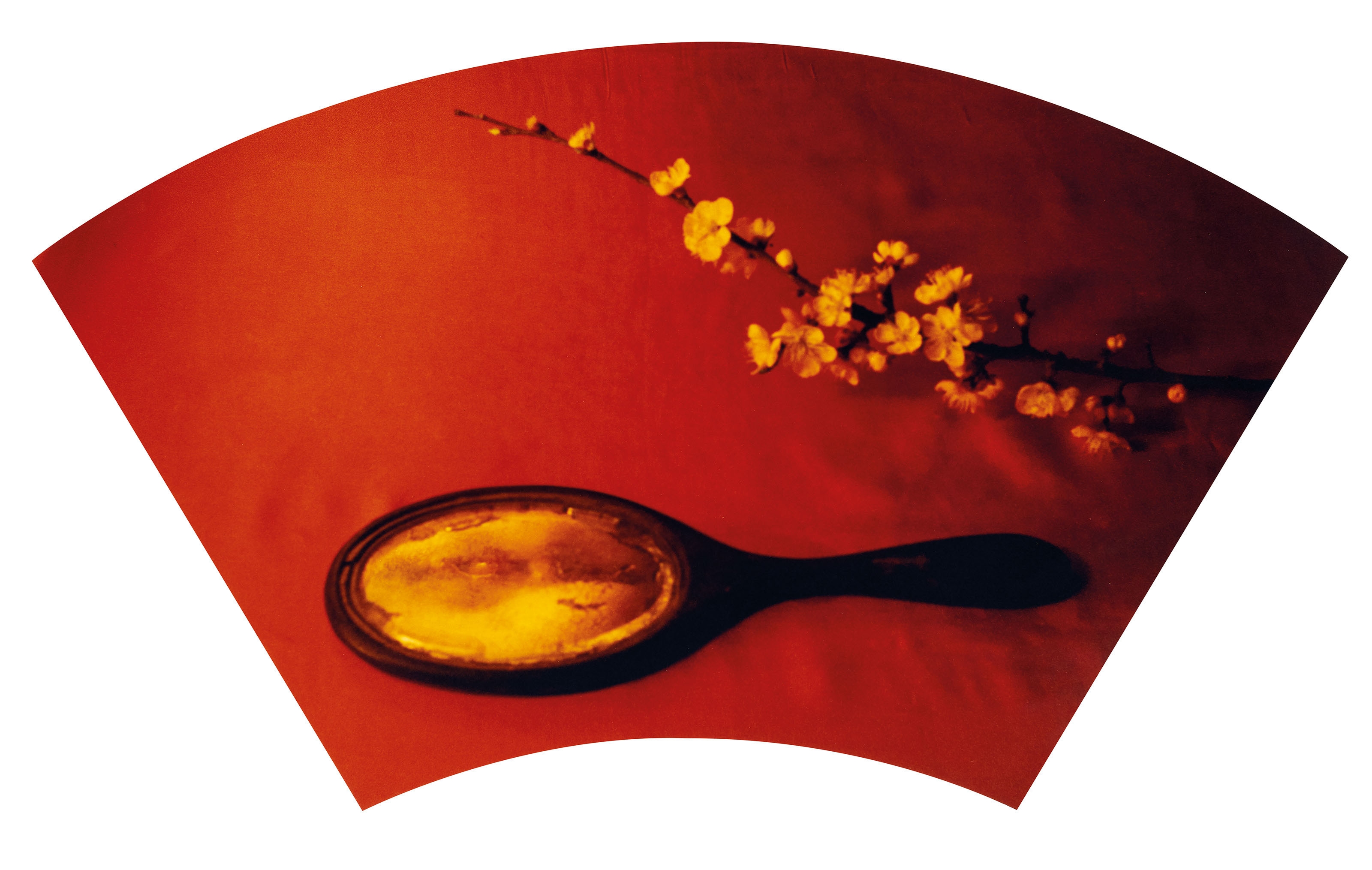 Artwork by Chen Lingyang, Twelve Flower Months, Made of color photographs