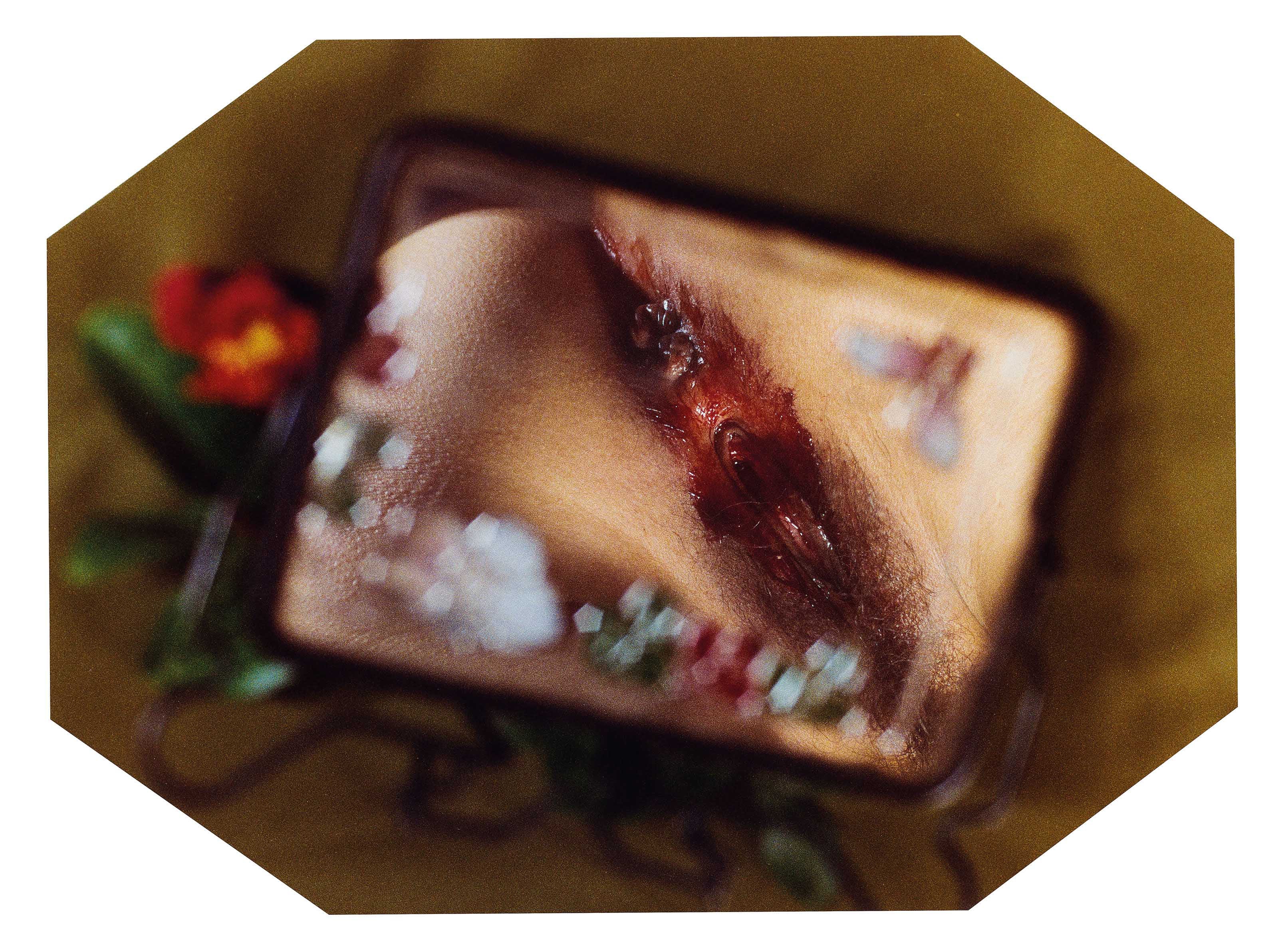 Artwork by Chen Lingyang, Twelve Flower Months, Made of color photographs