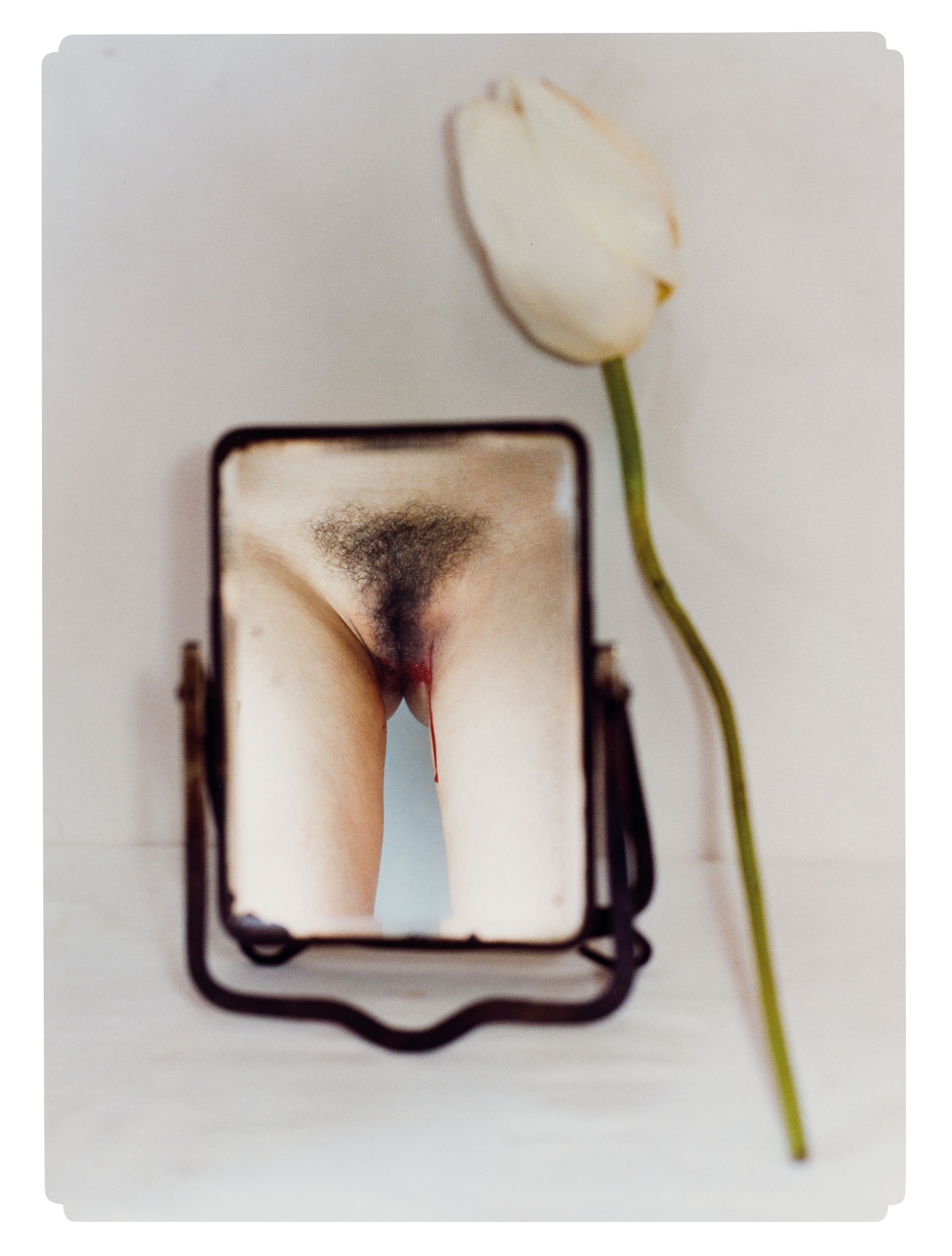 Artwork by Chen Lingyang, Twelve Flower Months, Made of color photographs