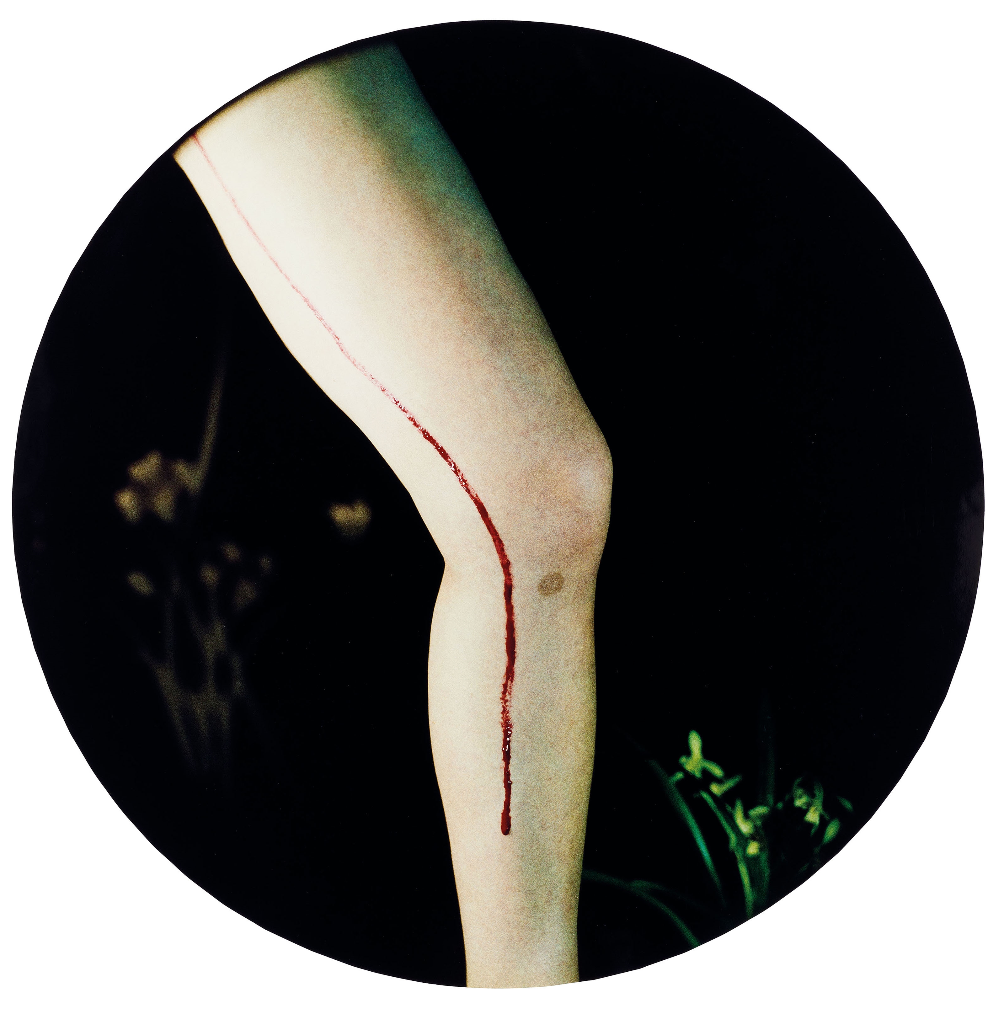 Artwork by Chen Lingyang, Twelve Flower Months, Made of color photographs