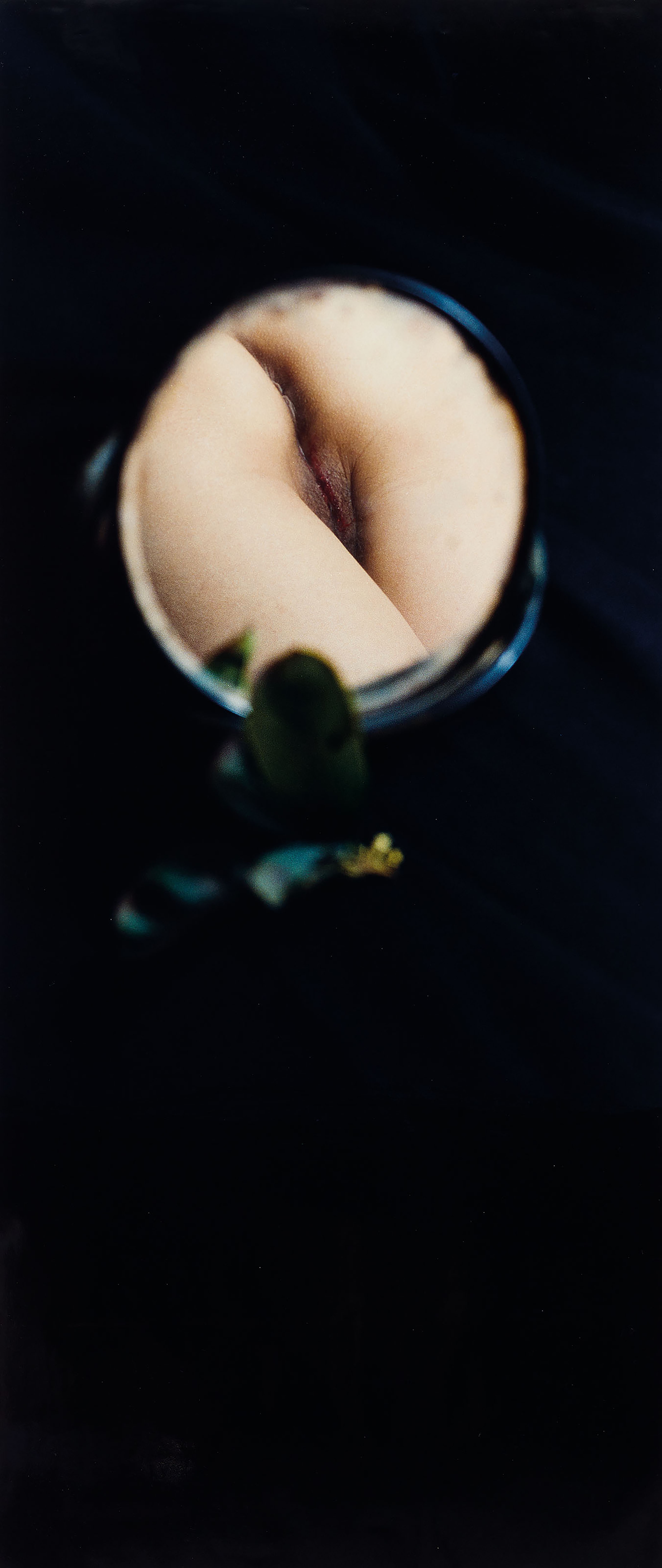 Artwork by Chen Lingyang, Twelve Flower Months, Made of color photographs