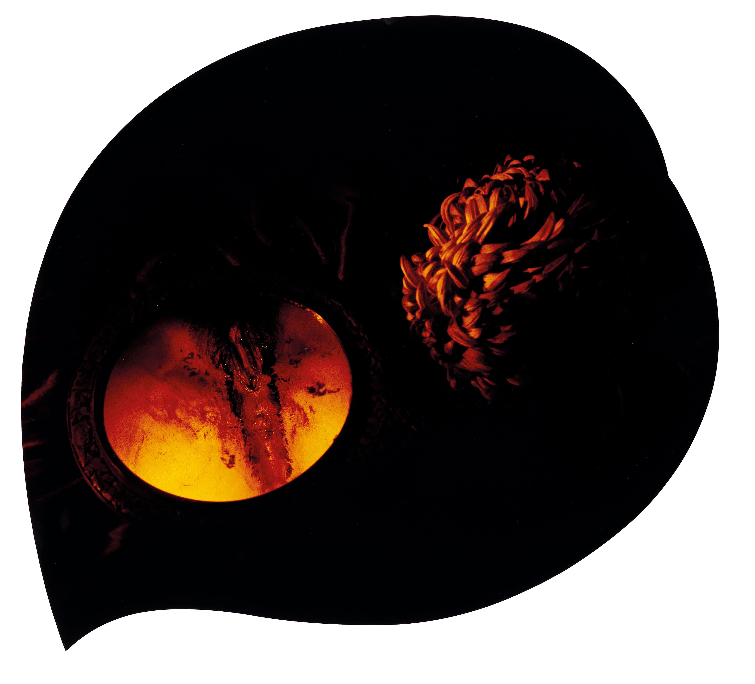 Artwork by Chen Lingyang, Twelve Flower Months, Made of color photographs