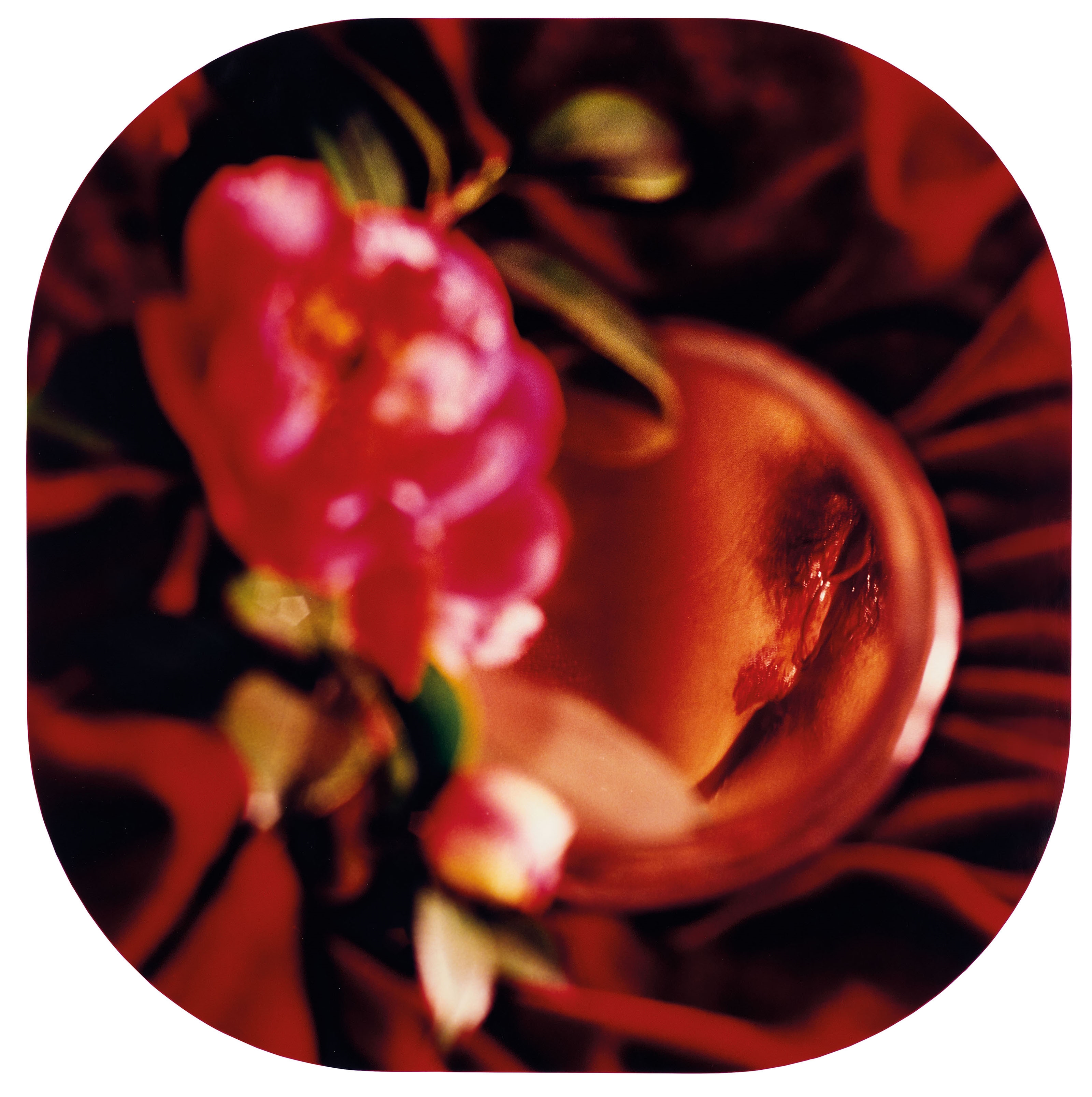 Artwork by Chen Lingyang, Twelve Flower Months, Made of color photographs