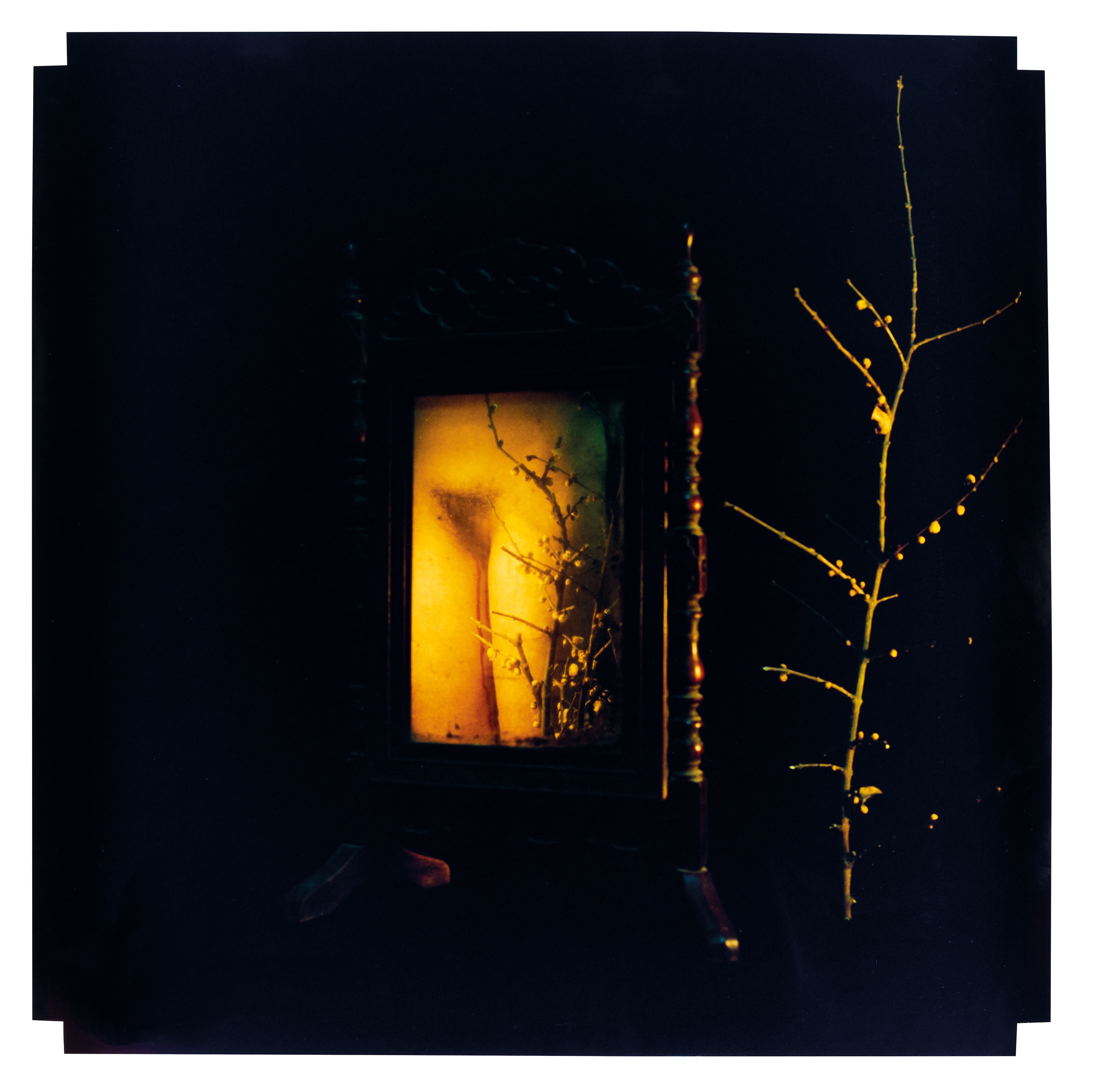 Artwork by Chen Lingyang, Twelve Flower Months, Made of color photographs