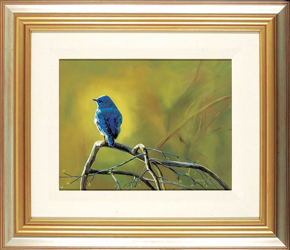 Blue Bird by Andrew Kiss