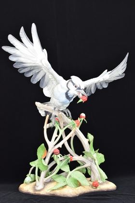 "BLUE JAY" RASPBERRIES BIRD