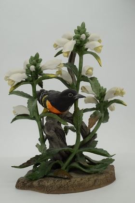 RARE "NORTHERN ORIOLE" BIRD 