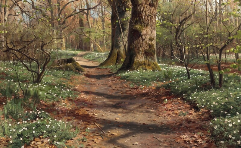 D-TOYS Puzzle 1000 Teile – „Ein Sommertag Im Wald Mit Hirschen“ Nach Peder Mørk Mønsted