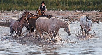 You Can Lead a Horse to Water by Nathan Solano