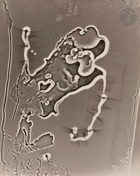 Photogramme by Raoul Hausmann, 1958