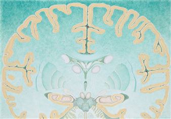 The Face of Mind - Ulla Wiggen