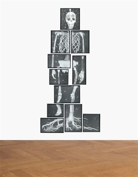 MISSING LINK II (AFTER BOOSTER) by Matthew Day Jackson, dated  2008