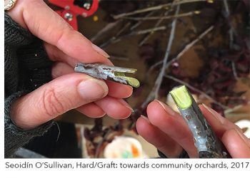 A Most Favourable Soil - Butler Gallery