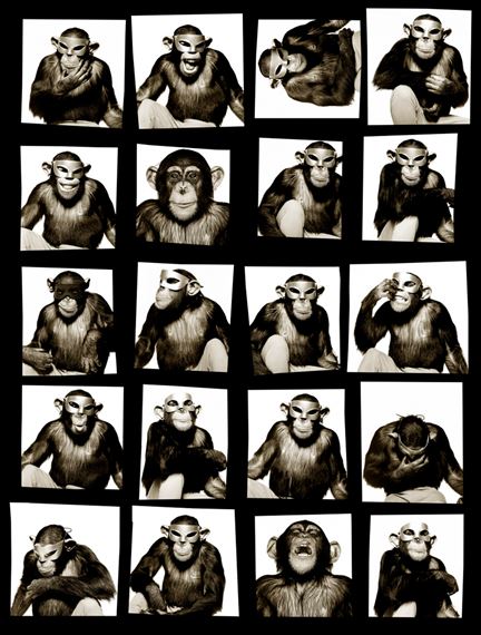 Monkey with Mask, New York by Albert Watson, 1994