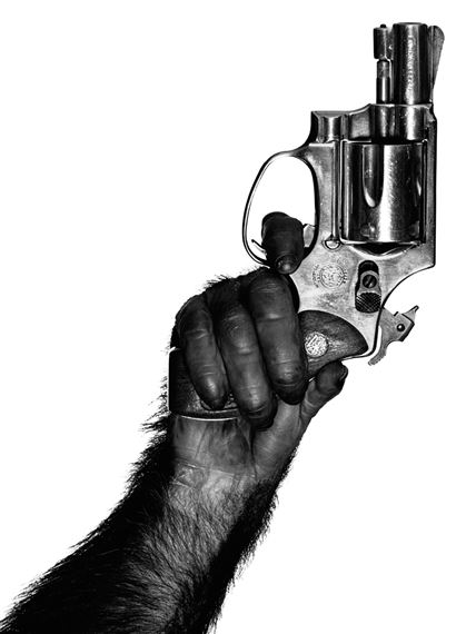 Monkey with Gun, New York by Albert Watson, 1992