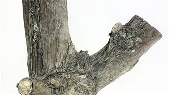 Ariane Vielmetter: The Rose Garden - Ever Gold Gallery