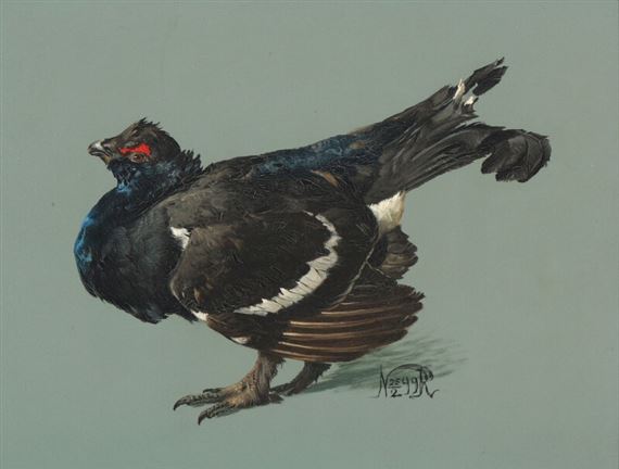 A black grouse by Niels Peter Rasmussen, 1899