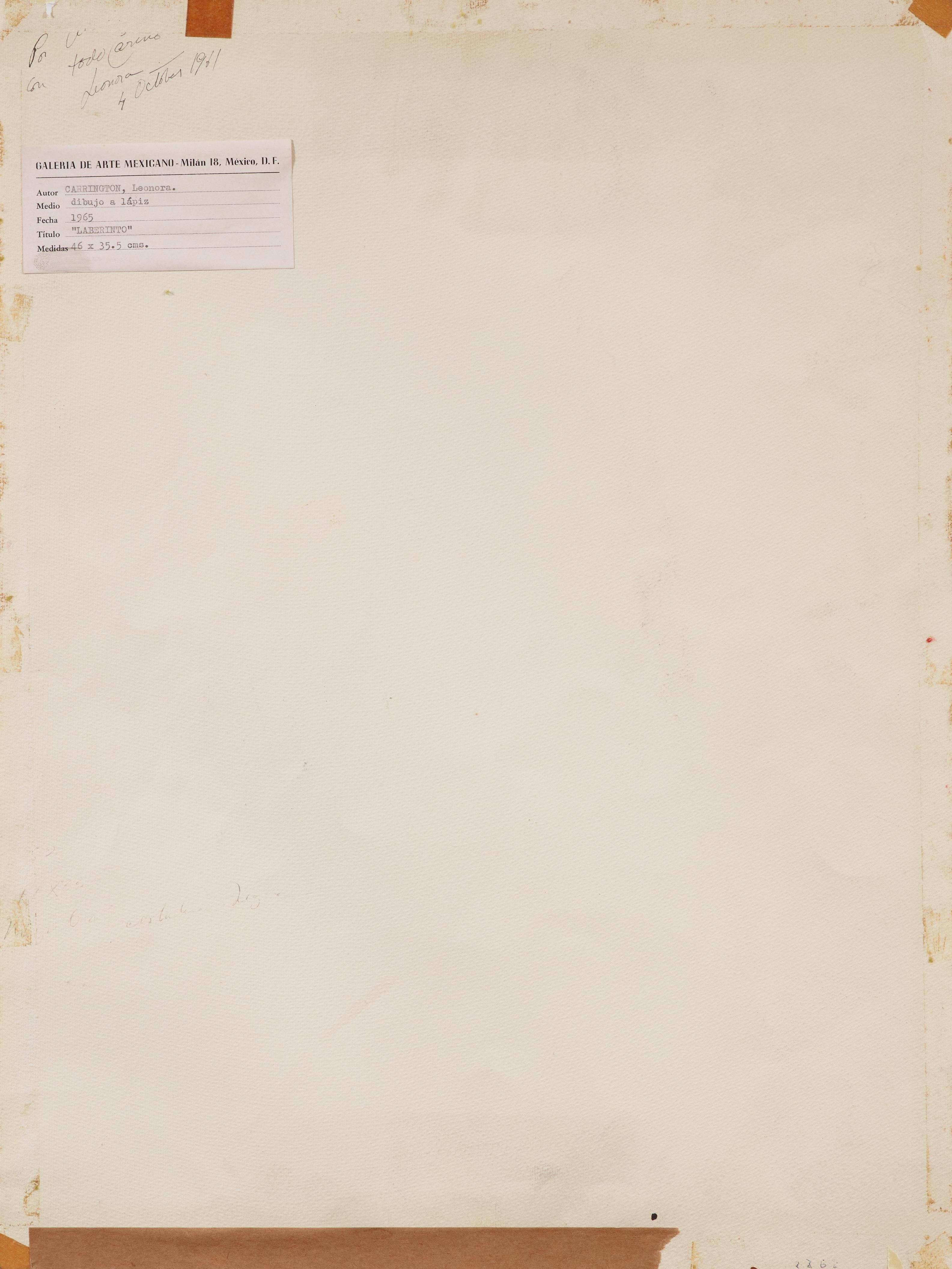 Artwork by Leonora Carrington, Figura, Made of Pastels on paper