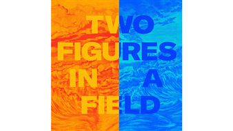 Tom Pnini: Two Figures in a Field - Lesley Heller