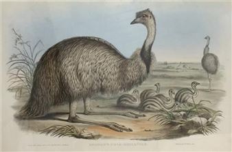Art|Asian|Jewels|Objets - Theodore Bruce, South Australia