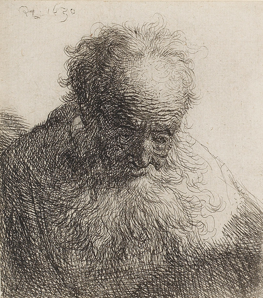 Rembrandt van Rijn | Bust of an Old Man with a flowing beard (1630 ...
