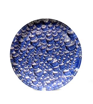 Aqua 3 - Nataliya Lyakh