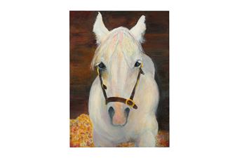 Head of Releef - Romaine Denniston