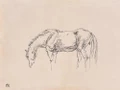 HORSE SKETCHES by Henri de Toulouse-Lautrec