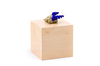 Untitled - Katarzyna Przezwańska