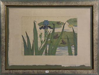 Grenouilles, iris et nénuphars Picture