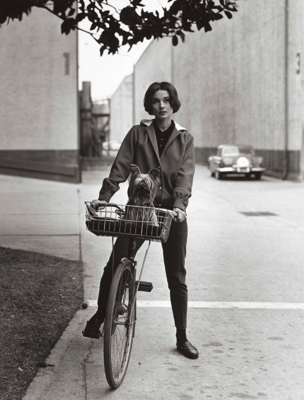 Artwork by Sid Avery, Audrey Hepburn on her Bike with Her Dog "Famous" at Paramount Studios, Made of Gelatin silver print