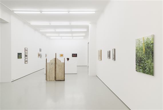 Ion Grigorescu: Commentary upon Nature - Gregor Podnar