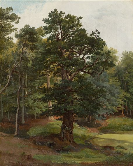 Eiche bei Weimar by Friedrich Preller the Elder, circa 1836