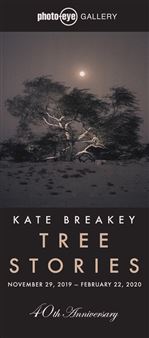 Kate Breakey: Tree Stories - Photo-Eye Gallery