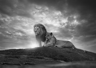 The Real Owners of the Planet - The Empty Quarter Gallery