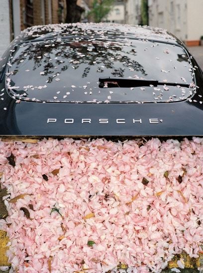 Sakura Rain by Yulia Lebedeva, Executed in 2011