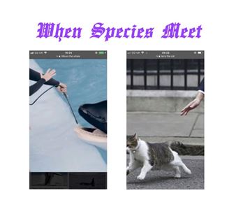 Lydia Blakeley & Lucy Evetts: When Species Meet - Transition Two