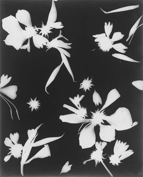 Three Works: Blumenmuster by Lou Bonin - Tchimoukoff, 1930