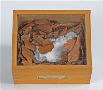 Oppenheim Meret Le Cocon Il Vit Objet Porte Bonheur 1974 Mutualart