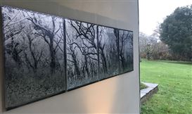 Tessa Traeger – New Art Centre – Roche Court