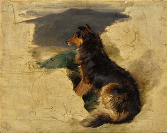 Study of a Scotch Collie (recto);  Study of William Russell with a falcon and a hound (verso) - Edwin Landseer