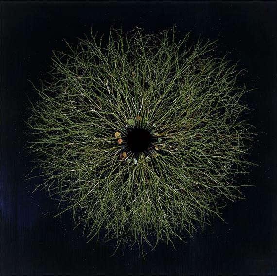 Lightning Strikes II: 22 Poets. 22 Artists - Dolby Chadwick Gallery