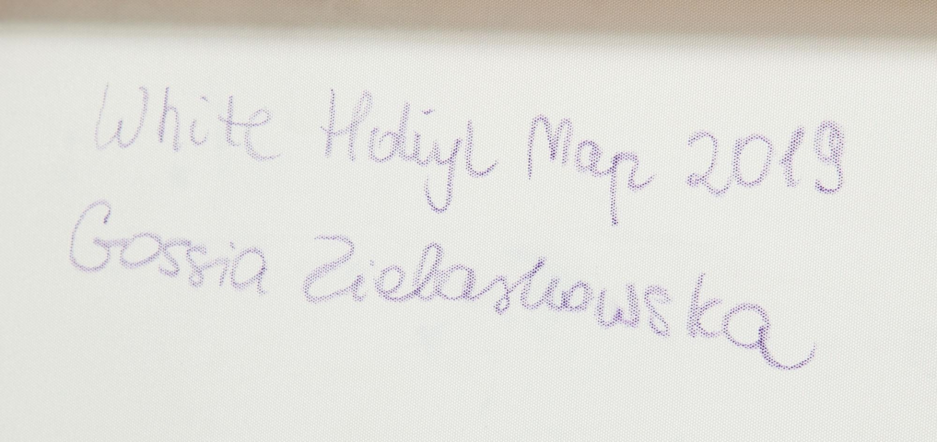 Artwork by Gossia Zielaskowska, White Hdiyl Map, Made of acrylic on canvas