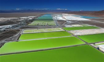 Eco-Visionaries: Confronting a Planet in a State of Emergency Review – Speculative and Oblique